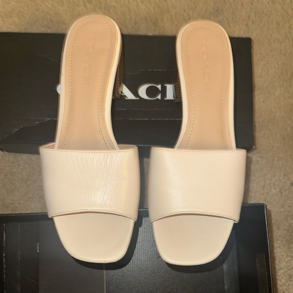 Coach Chalk Mules Contemporary Design
